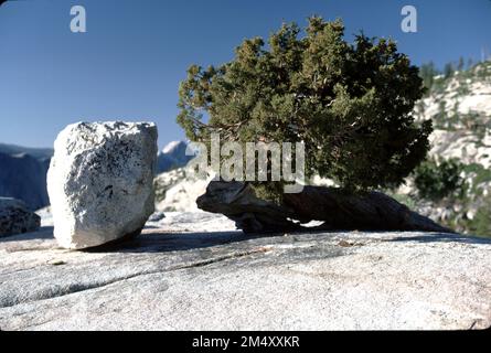 Parc national de Yosemite. CA ETATS-UNIS. Tioga Pass est un col de montagne situé dans la chaîne de montagnes de la Sierra Nevada en Californie. La State route 120 s'y traverse et sert de point d'entrée est pour le parc national de Yosemite, à la station d'entrée Tioga Pass. Il s'agit de la passe d'autoroute la plus haute en Californie et dans la Sierra Nevada à une altitude de 3 031 m (9 945 pi). Mount Dana est à l'est du col, et Gaylor Peak à l'ouest. Banque D'Images