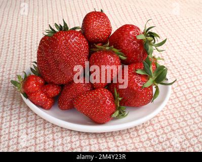 Fraises rouges sur une assiette blanche en gros plan. Fraises fraîches juteuses sur la table. Baies mûres en été. Composition avec paille rouge mûre fraîche Banque D'Images