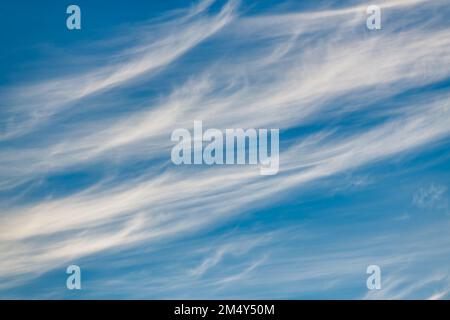 Une image détaillée des nuages cirrus blancs et wispy par rapport À Une image haute résolution ciel bleu de jour Banque D'Images