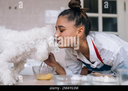 Une jeune femme dans la cuisine embrasse un joli chien maltais blanc Banque D'Images