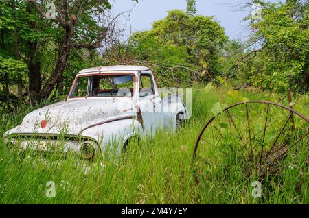 Un vieux camion Ford est récupéré par nature dans un pré avec une ancienne roue de tracteur, Ellison Bay, comté de Door, Wisconsin Banque D'Images