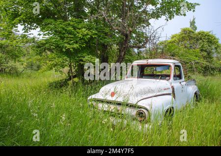 Un vieux camion Ford est récupéré par nature dans un pré avec une ancienne roue de tracteur, Ellison Bay, comté de Door, Wisconsin Banque D'Images