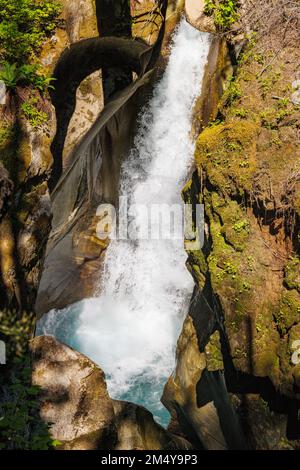 Chutes et jardins de Ladder Creek ; barrage gorge ; rivière Skagit ; État de Washington ; États-Unis Banque D'Images