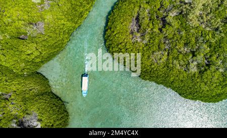 Antenne de la forêt de mangroves, îles Farasan, Royaume d'Arabie Saoudite Banque D'Images