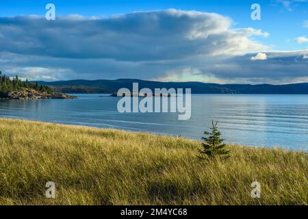 Dunes de sable sur le lac supérieur, Sandy Beach, Sandy Beach , Wawa (Ontario), Canada Banque D'Images