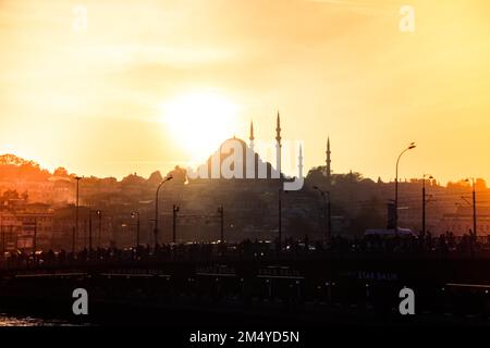 Horizon de la ville de Stanbul. Voyage Turquie arrière-plan. Vue panoramique sur la ville Banque D'Images