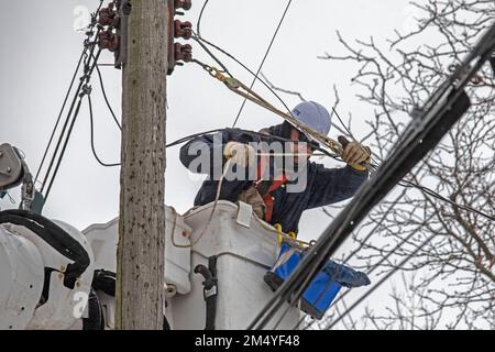 Detroit, Michigan, États-Unis. 23rd décembre 2022. Les travailleurs de DTE Energy réparent une ligne électrique qui tombe par un arbre pendant une tempête hivernale. La tempête a amené du froid, de la neige et du vent dangereux à une grande partie des États-Unis. La tempête a laissé près de 1,3 millions de clients sans électricité dans tout le pays. Crédit : Jim West/Alay Live News Banque D'Images