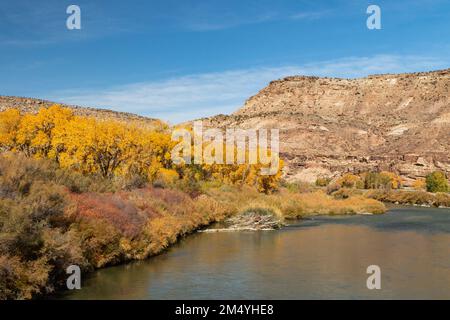 Traversée de la rivière Gunnison dans la zone de conservation de Dominguez-Escalante, près de Delta, Coloradoad Banque D'Images