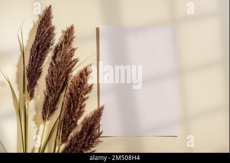 Papier vertical vierge A4, maquette d'invitation, plat. Herbe sèche, lumière du soleil. Arrière-plan de table beige avec ombre fenêtre. Maquette avec papier vierge vide an Banque D'Images