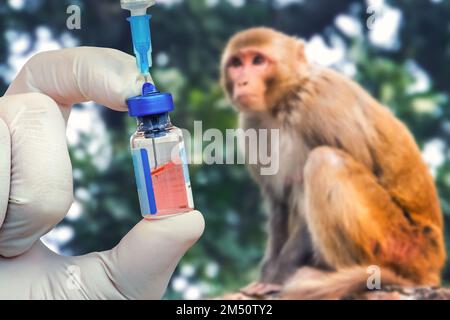 le concept de médecine et de médecine vétérinaire. Le vaccin contre la varicelle. Médicaments pour animaux. Banque D'Images