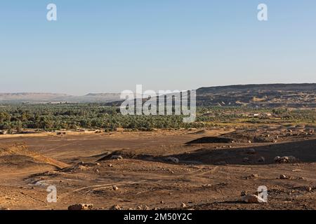 Vue panoramique sur le paysage reculé du désert égyptien africain avec oasis et grande plantation de palmiers dattiers Banque D'Images