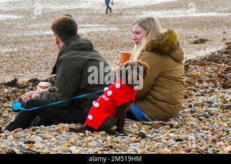 Lyme Regis, Dorset, Royaume-Uni. 24th décembre 2022. Météo Royaume-Uni. Un couple s'assoit sur la plage avec leur chien, qui porte un pull de Noël à Lyme Regis dans Dorset comme ils apprécient un chaud, couvert jour le jour de Noël. Crédit photo : Graham Hunt/Alamy Live News Banque D'Images