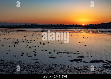 Crépuscule, Hole Bay, Poole Harbour, Poole, Dorset, ROYAUME-UNI Banque D'Images