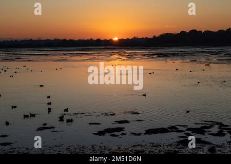 Crépuscule, Hole Bay, Poole Harbour, Poole, Dorset, ROYAUME-UNI Banque D'Images