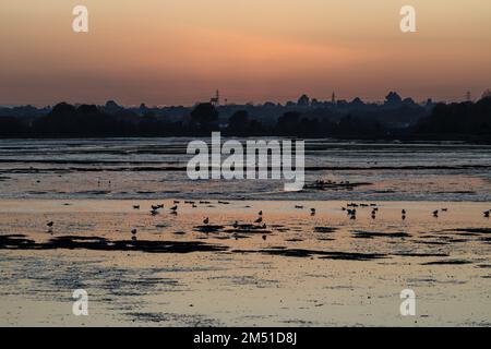 Crépuscule, Hole Bay, Poole Harbour, Poole, Dorset, ROYAUME-UNI Banque D'Images