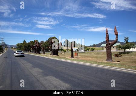 Legerwood Memorial Trees, planté en 1918, à Legerwood en Tasmanie. Dépeignant les images de la WW 1, en mémoire des soldats tombés anciennement Ringarooma. Banque D'Images