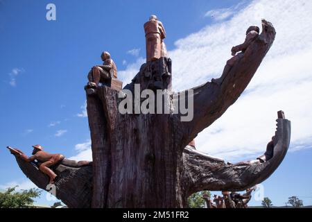 Legerwood Memorial Trees, planté en 1918, à Legerwood en Tasmanie. Dépeignant les images de la WW 1, en mémoire des soldats tombés anciennement Ringarooma. Banque D'Images