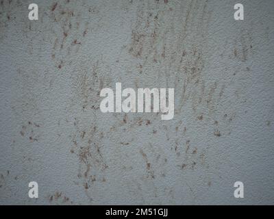 Les empreintes du chat sur le mur Banque D'Images