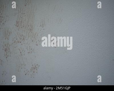 Les empreintes du chat sur le mur Banque D'Images