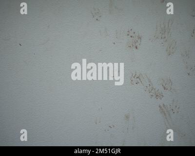 Les empreintes du chat sur le mur Banque D'Images