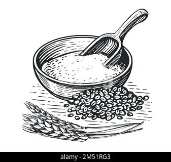 Farine dans un bol, grains de blé, pelle en bois et épis de blé. Alimentation saine. Illustration vectorielle vintage dans un style d'esquisse Illustration de Vecteur