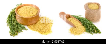 Millet dans bol en bois avec des épillets vert isolé sur fond blanc Banque D'Images