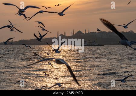 Péninsule historique au coucher du soleil à Istanbul, Turquie Banque D'Images