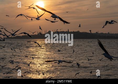 Péninsule historique au coucher du soleil à Istanbul, Turquie Banque D'Images