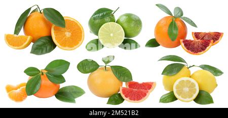 Collection de fruits oranges mandarine citron pamplemousse isolé sur fond blanc Banque D'Images