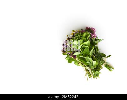Herbes médicales fraîchement cueillies sur fond blanc Banque D'Images