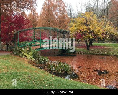 Une belle vue sur le pont Monet dans les jardins Gibbs en automne, Cherokee County, Géorgie. Banque D'Images