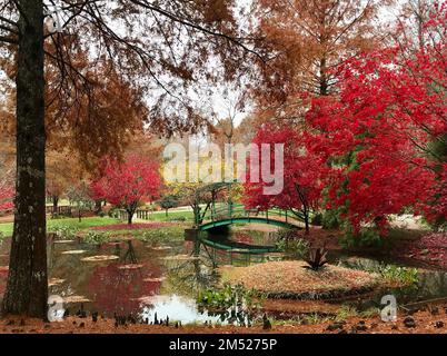 Une belle vue sur le pont Monet dans les jardins Gibbs en automne, Cherokee County, Géorgie. Banque D'Images