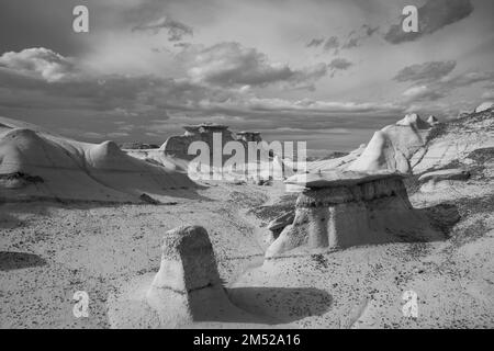 Photographie de la région sauvage de Bisti/de-Na-Zin, un magnifique site d'argile érodée et de roc Hoo doos, au sud de Farmington, Nouveau-Mexique, Etats-Unis Banque D'Images