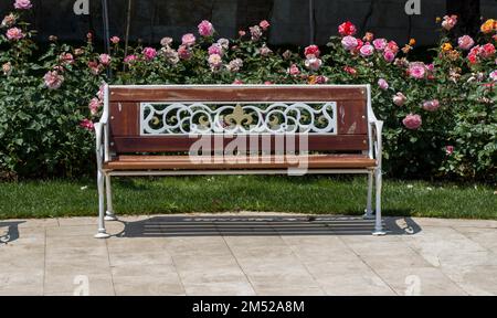 Banc en bois trouvés au milieu de rose garden Banque D'Images