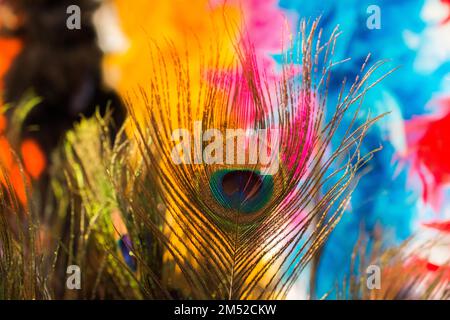 Belles plumes des oiseaux à des fins décoratives Banque D'Images