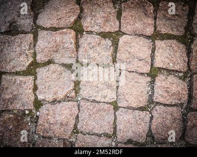 gros plan. Pavé pavé de pavés avec de la mousse qui pousse entre les pierres Banque D'Images