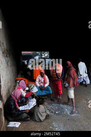 Des hommes bengalis lisant le journal du matin au marché aux fleurs de ghat Malik à Kolkata, en Inde. Banque D'Images