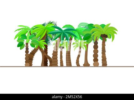 Palmier, forêt, jungle isolée dans le style caricature, sur fond blanc. Illustration vectorielle. Les arbres sont soleil d'été plage tropicale, un naturel Illustration de Vecteur