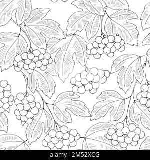 Viburnum plante baie sans couture motif graphique fond noir blanc esquisse illustration vecteur Illustration de Vecteur