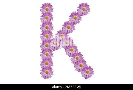 Lettre K faite de fleur rose isolée sur fond blanc. Idée de concept de printemps. Banque D'Images