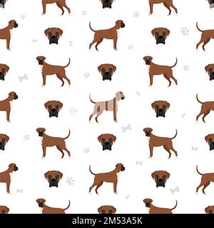 Motif boxer sans coutures pour chien. Illustration vectorielle Illustration de Vecteur