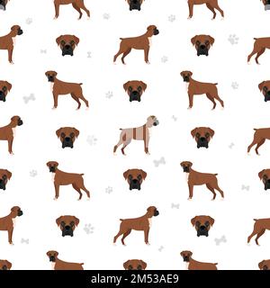 Motif boxer sans coutures pour chien. Illustration vectorielle Illustration de Vecteur