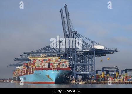 Port de Felixstowe avec navires à conteneurs (terminal Trinity) Banque D'Images