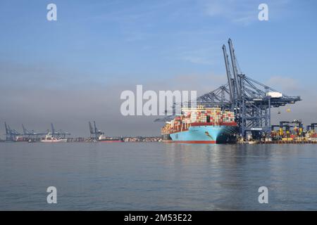 Port de Felixstowe avec navires à conteneurs (terminal Trinity) Banque D'Images