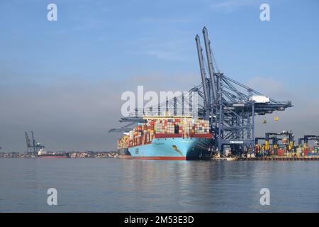 Port de Felixstowe avec navires à conteneurs (terminal Trinity) Banque D'Images