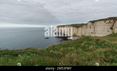 Vue sur la côte d'Alabâtre avec arche de la falaise de Manneporte et pré en face lors d'une journée d'été nuageuse, Etretat, Normandie, France Banque D'Images