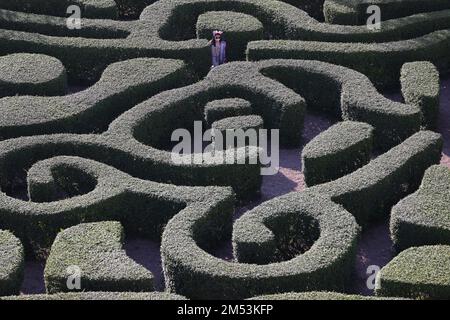 Un visiteur tente de trouver le chemin à partir d'un labyrinthe à Disneyland Hotel, Lantau. 21DEC22 SCMP / TSE de mai Banque D'Images