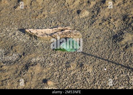 Morceau de verre vert et de bois sur le sable vu de près Banque D'Images