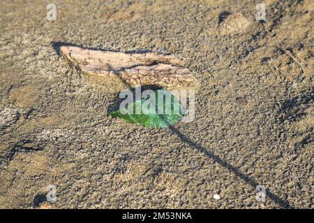 Morceau de verre vert et de bois sur le sable vu de près Banque D'Images