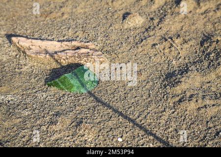 Morceau de verre vert et de bois sur le sable vu de près Banque D'Images